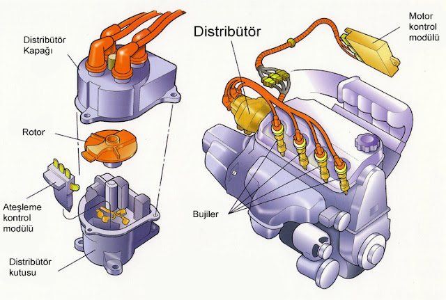 Distribütör Nedir