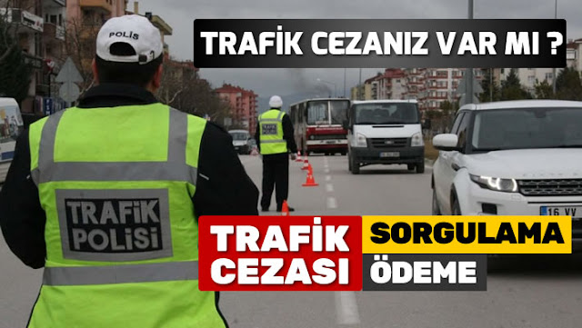 Plakadan Trafik Cezası Borç Sorgulama Nasıl Yapılır? Trafik Cezası Nasıl Ödenir?